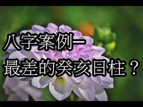 癸亥日女命|【癸亥日女】癸亥日女命藏富貴：命運解析、財庫秘辛大公開